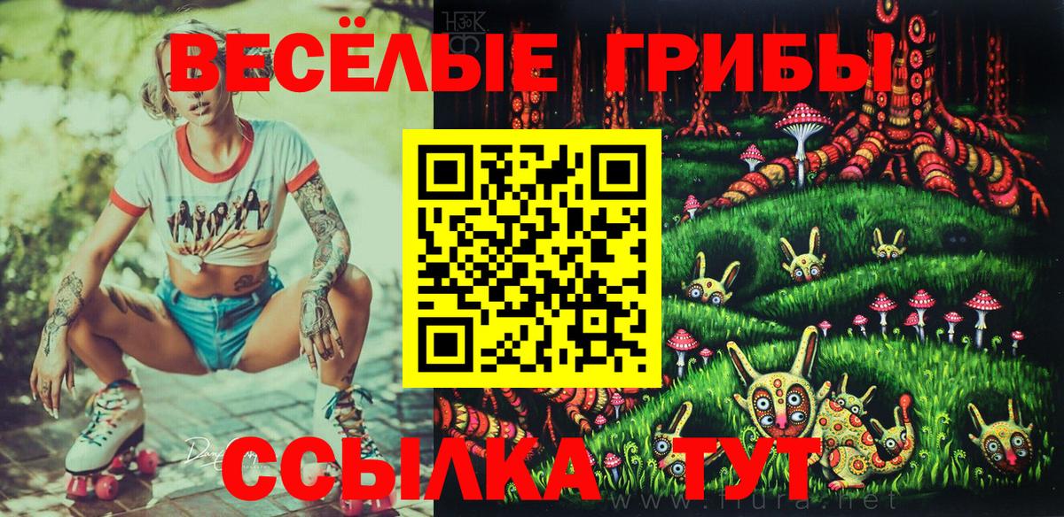 Галлюциногенные грибы Cubensis  Вход с VPN  Галлюциногенные грибы Magic Shrooms  Лесосибирск 
